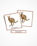 Karty Montessori zwierzęta Australii. Materiał w języku angielskim.