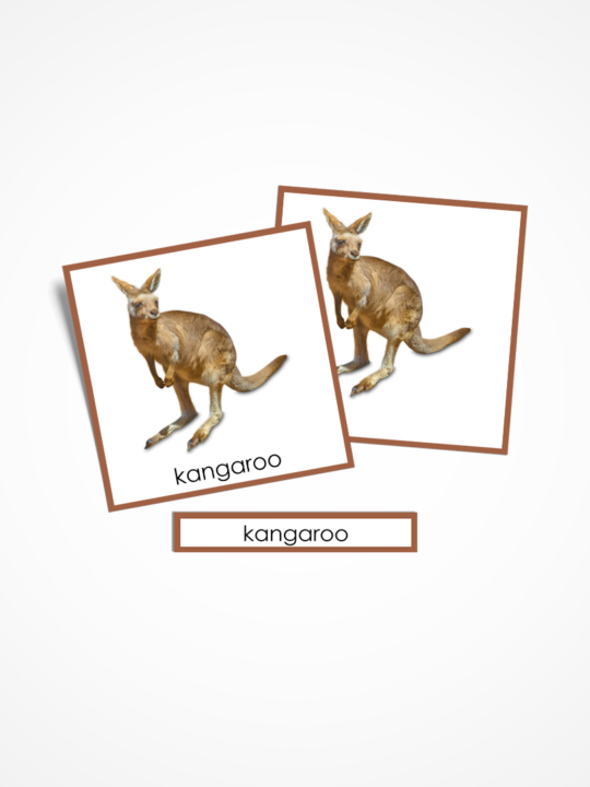 Karty Montessori zwierzęta Australii. Materiał w języku angielskim.