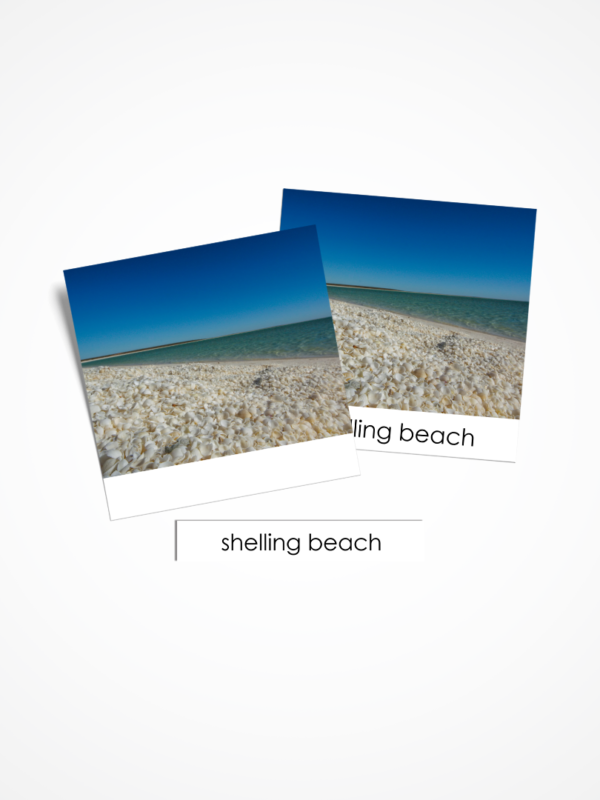 Typy plaży - geografia metodą Montessori