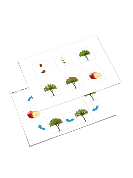 Zestaw kart Montessori cykl życia jabłka.