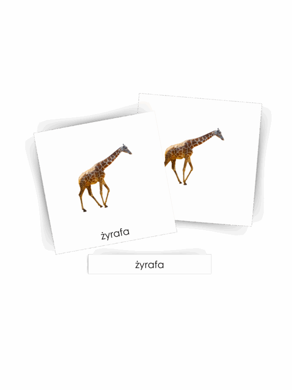 KARTY TRÓJDZIELNE MONTESSORI ZWIERZĘTA W ZOO