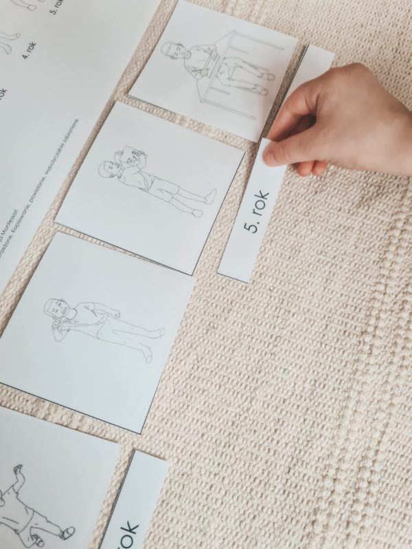 etapy życia dziecka montessori
