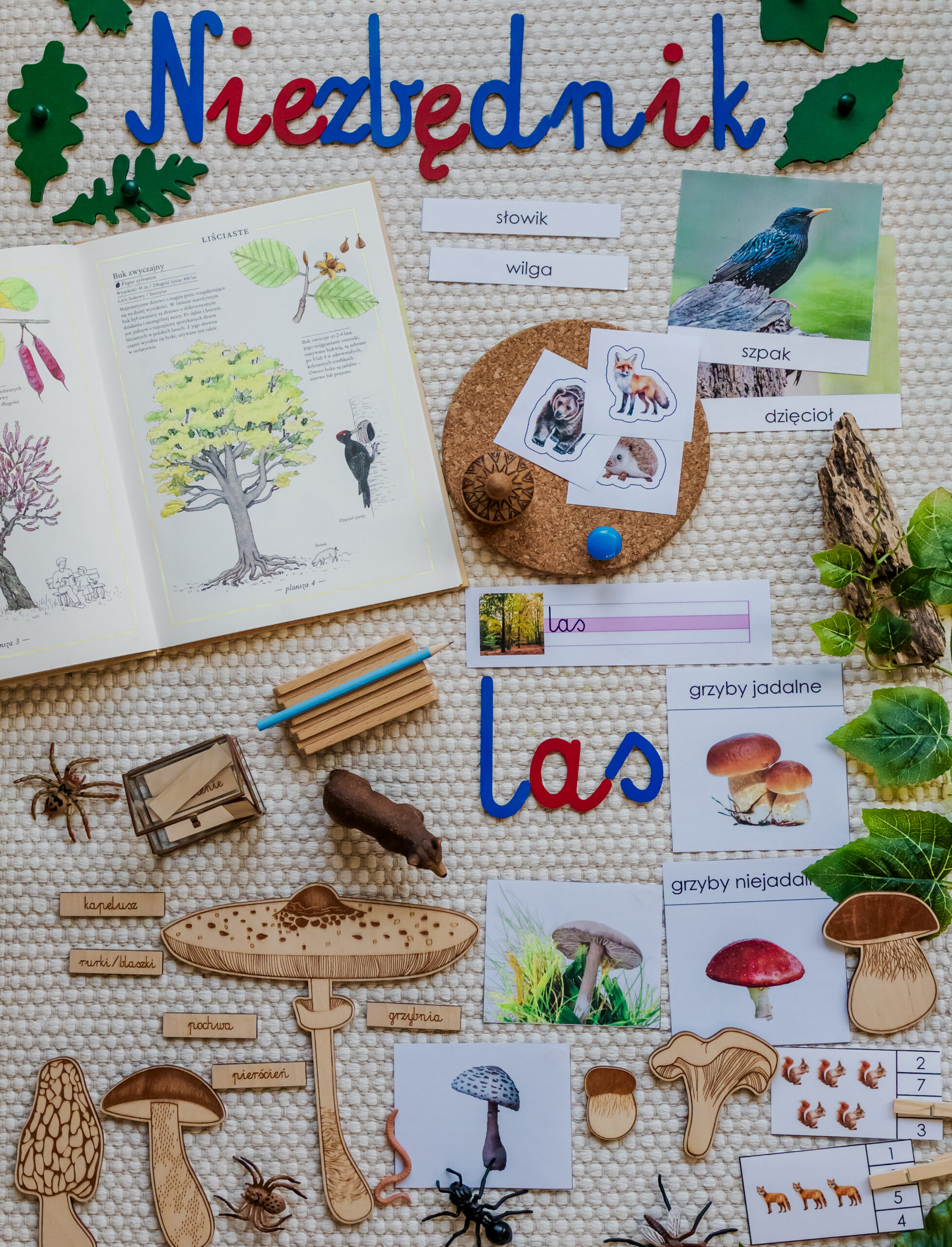 Niezbędnik Las-poprawka