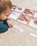 Karty trójdzielne Montessori