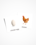 Karty Montessori przedstawiają ptaki oraz jaja, które składają.