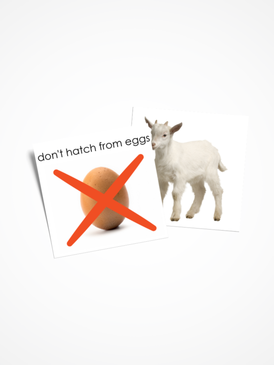 Karty Montessori zwierzęta wykluwajace się i nie wykluwające się z jajka. Materiał w języku angielskim.