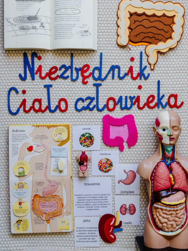 NIEZBĘDNIK EDUKACYJNY MONTESSORI CIAŁO CZŁOWIEKA
