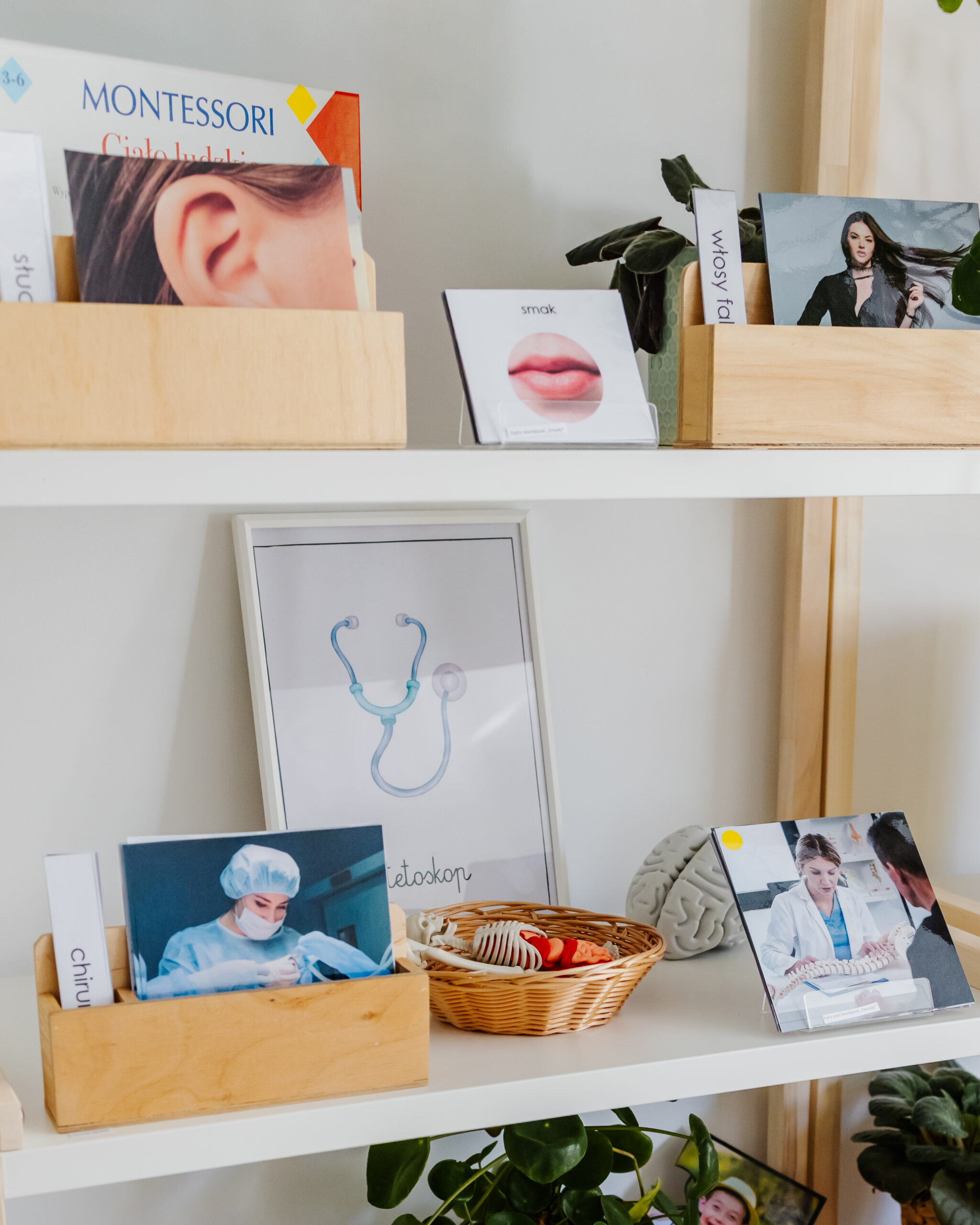 ciało człowieka regał ukosem bliskie