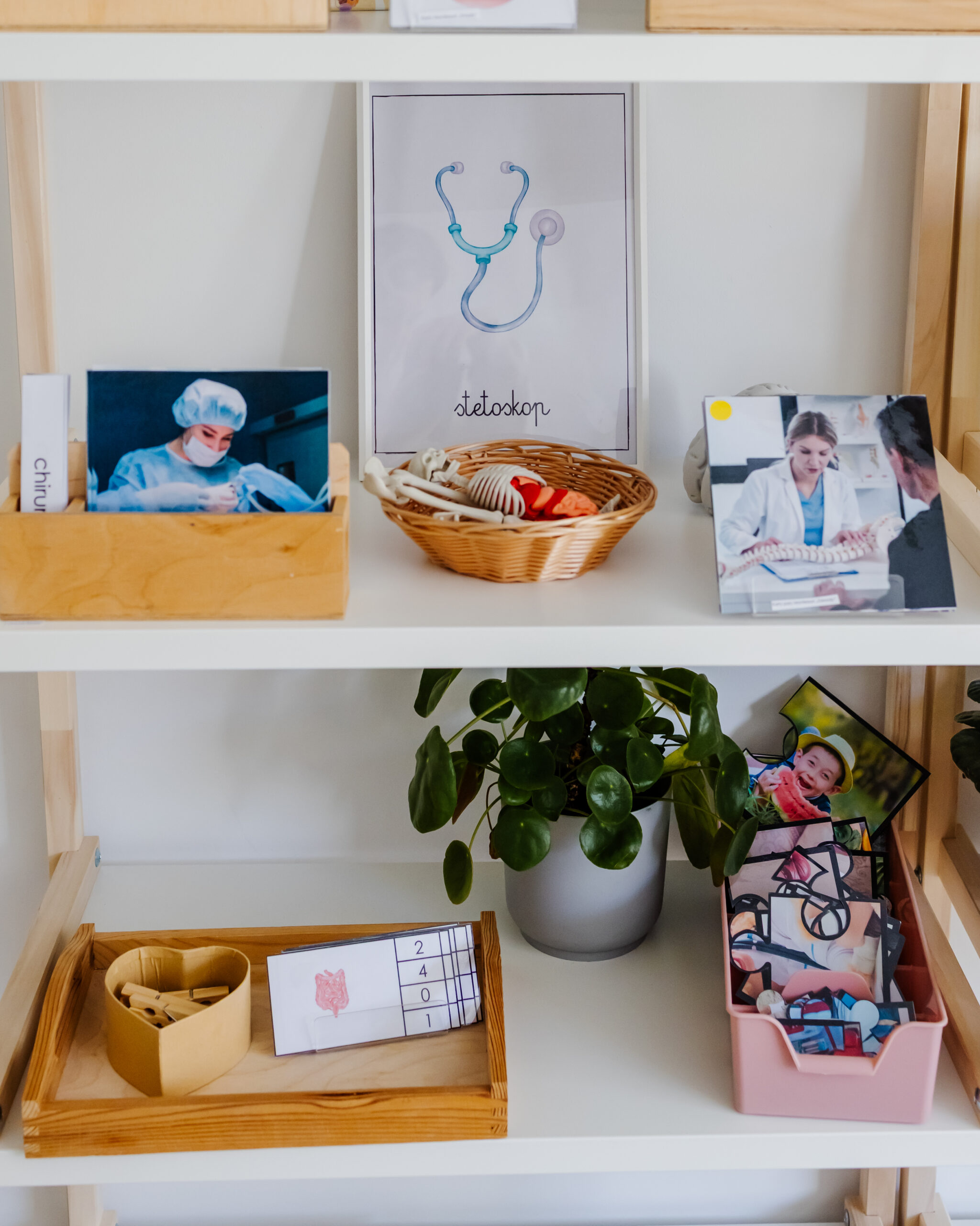 ciało człowieka regał zblizenie 4