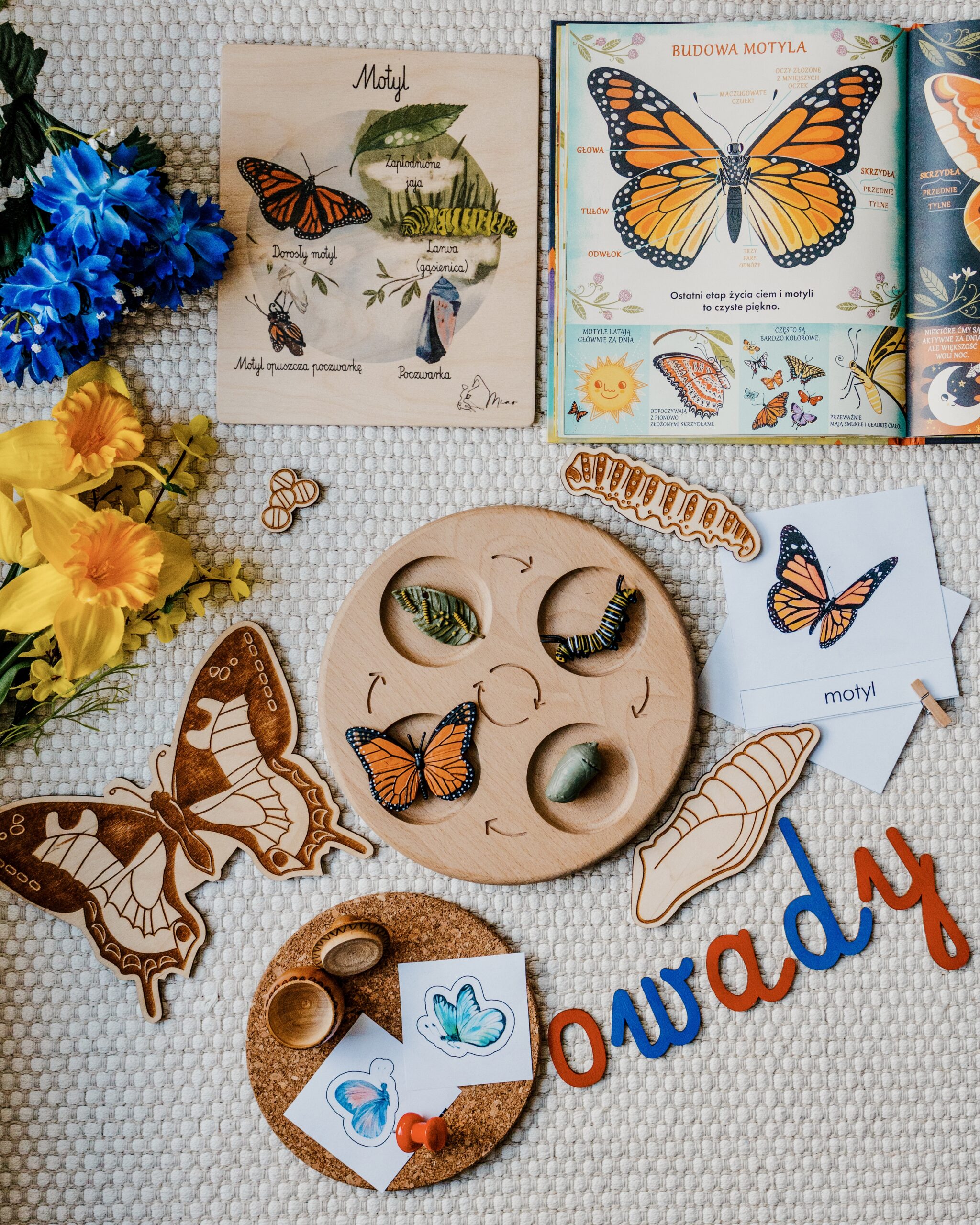 niezbednik owady jasne