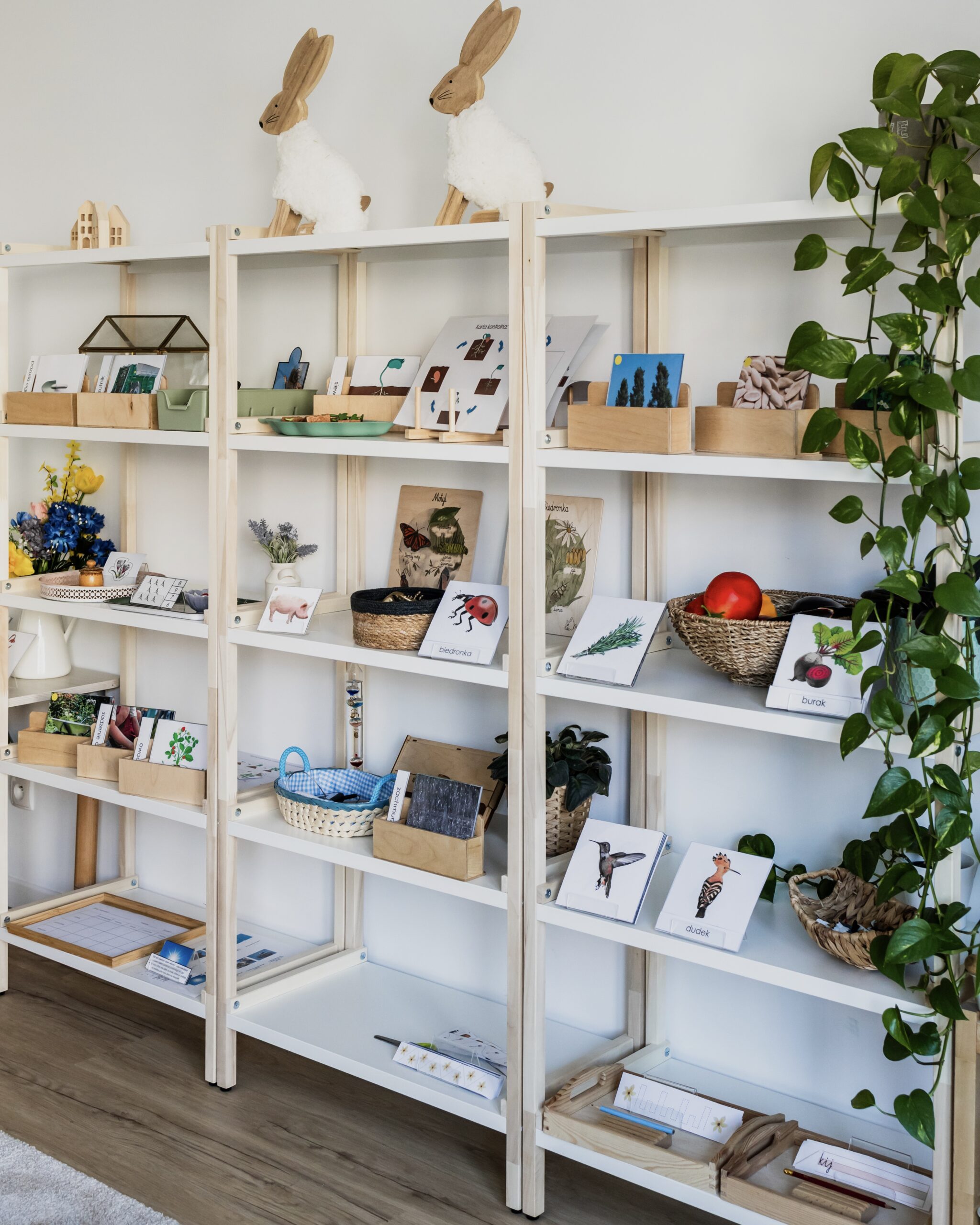 niezbednik regal wiosna 4