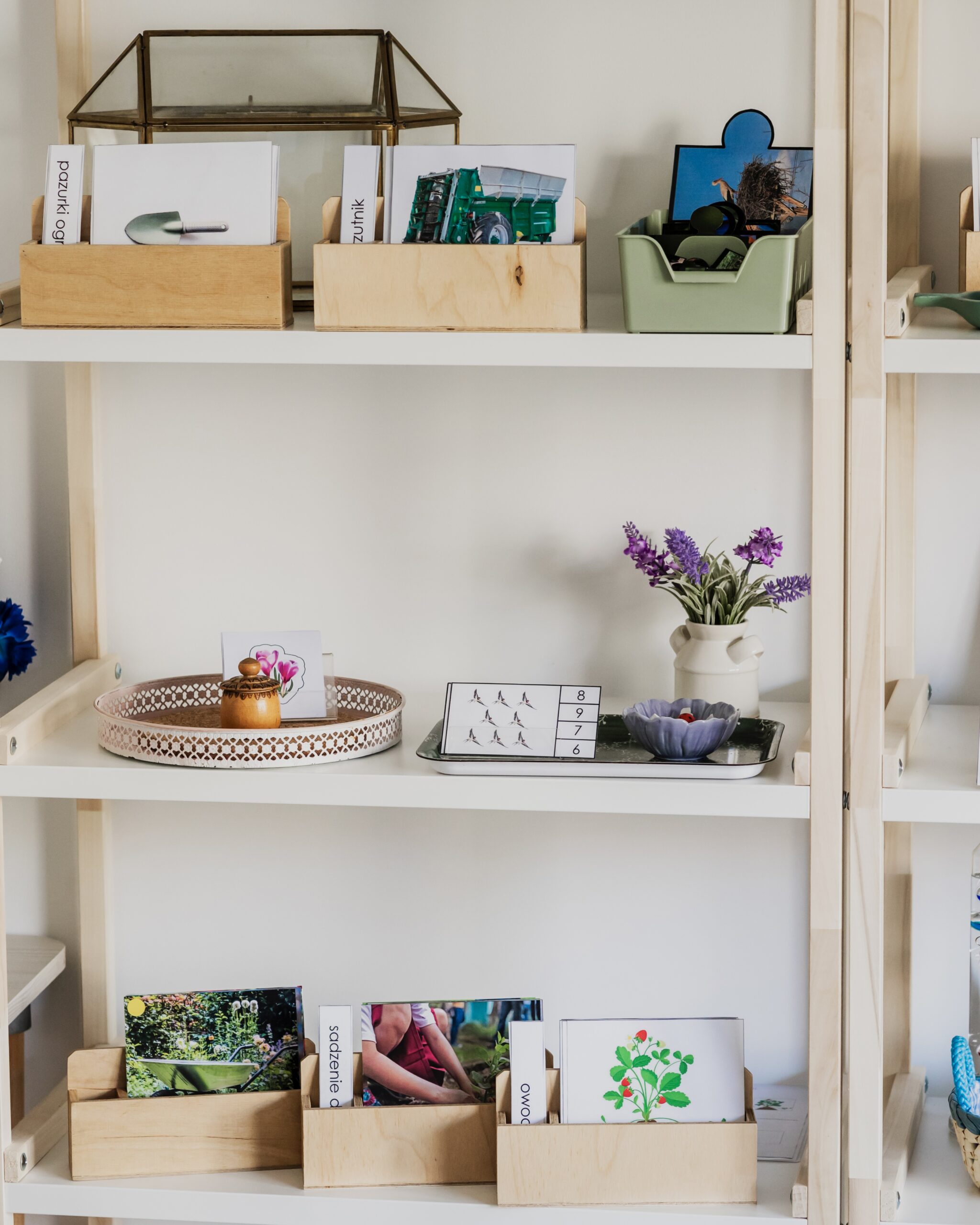 niezbednik wiosna regal 2