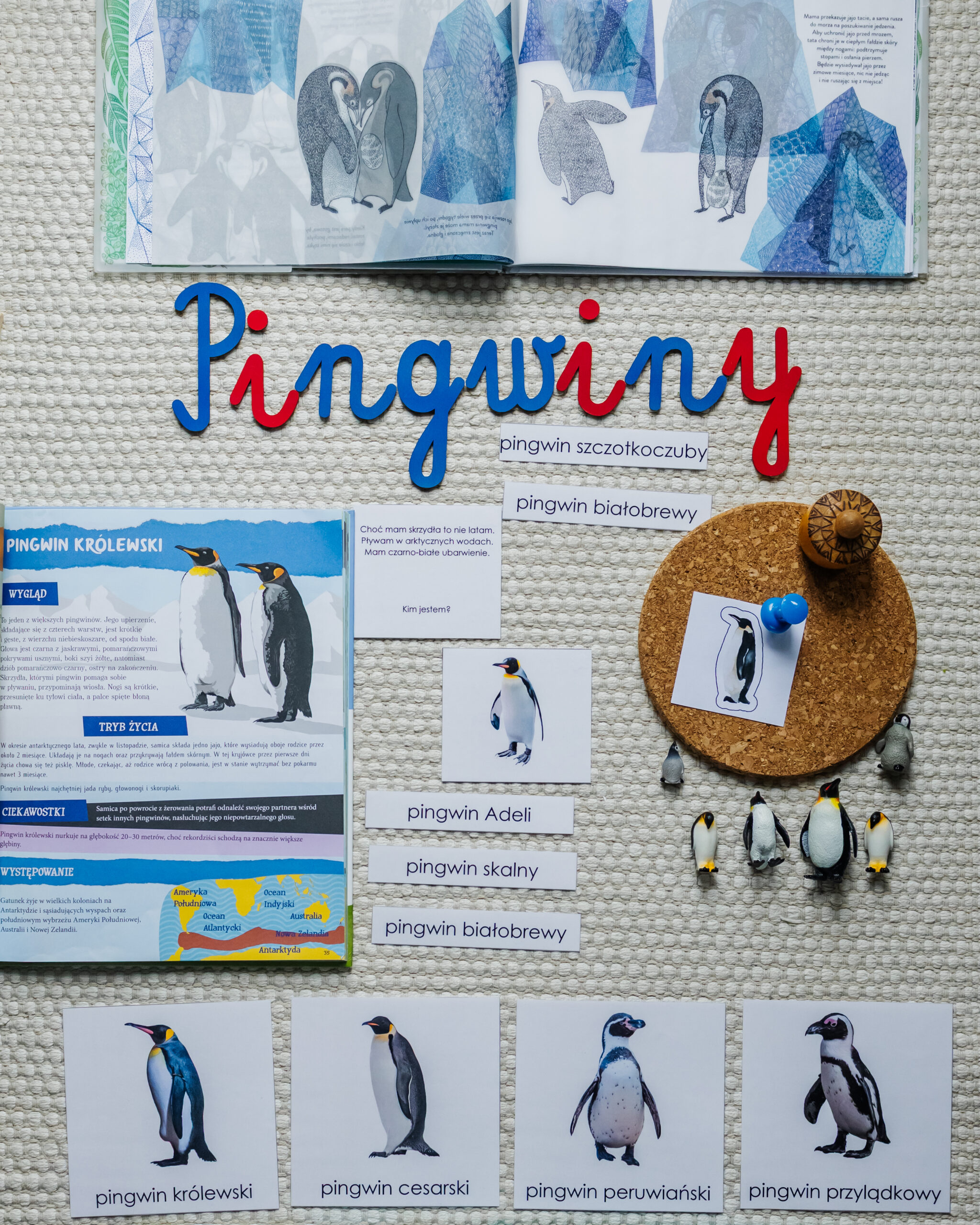 ptaki i jajka - pingwiny1