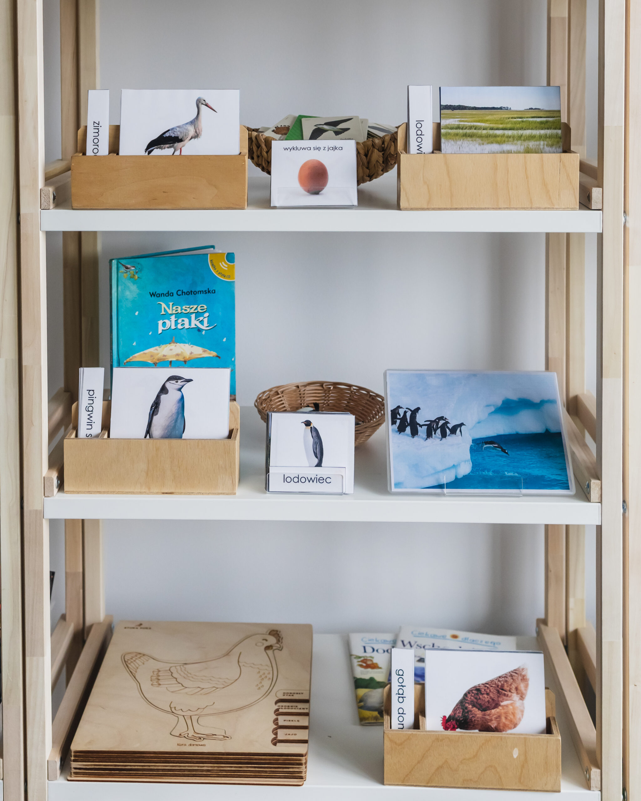 ptakijajka-regał-3