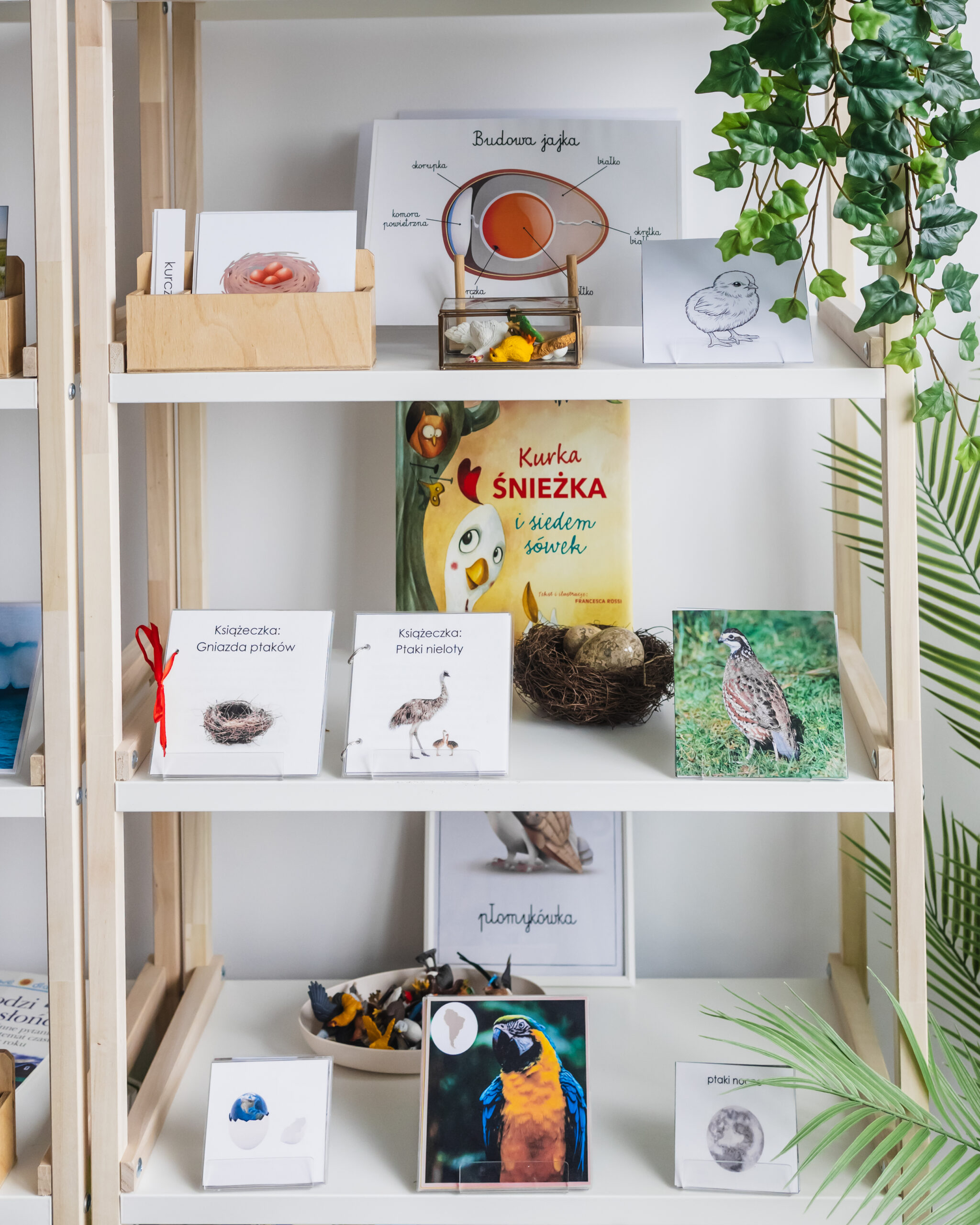 ptakijajka-regał-5