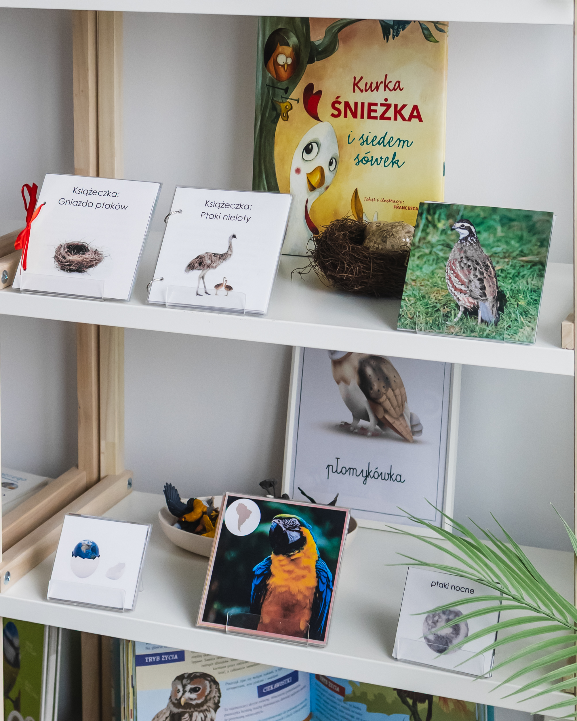 ptakijajka-regał-8