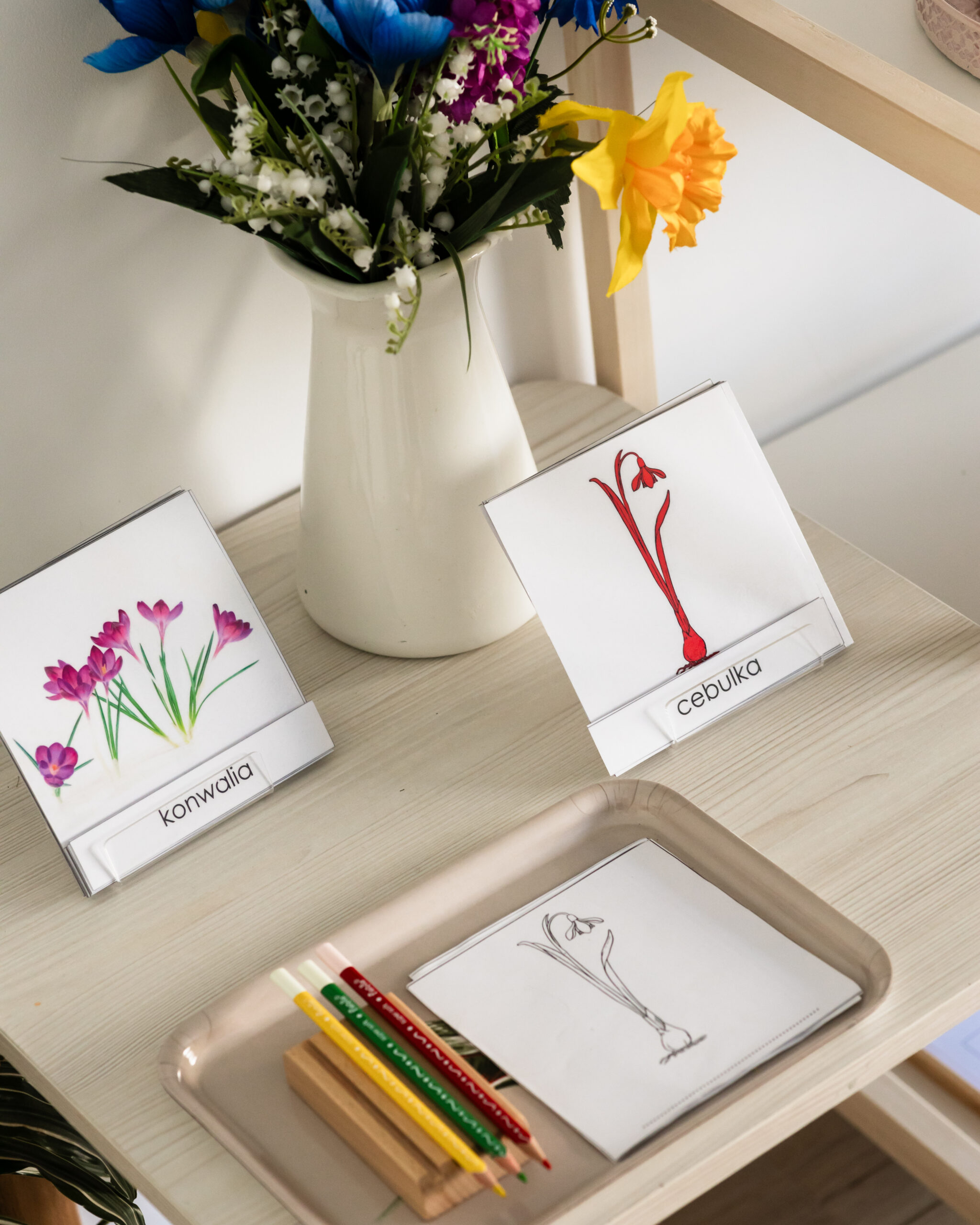 regal - czesci roslin