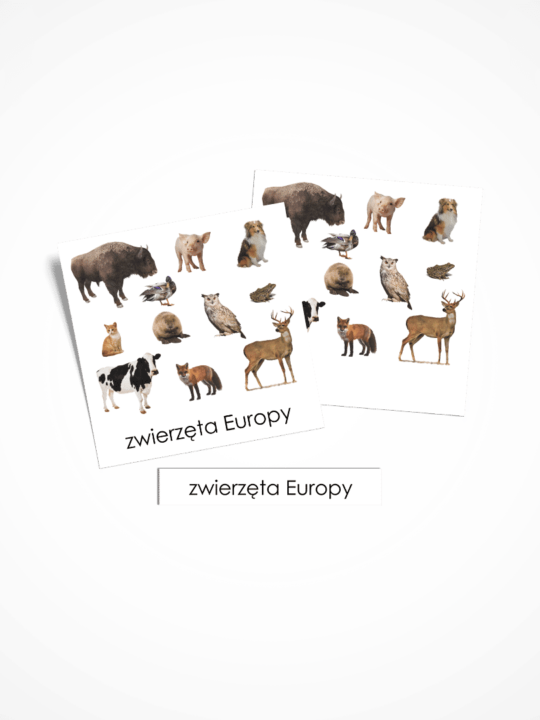 Karty trójdzielne zwierzęta Europy